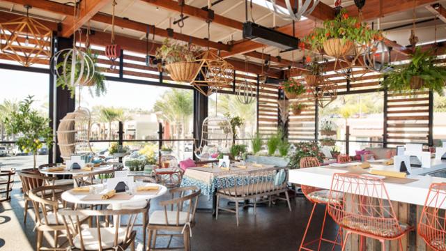 Dinner on the&nbsp;town