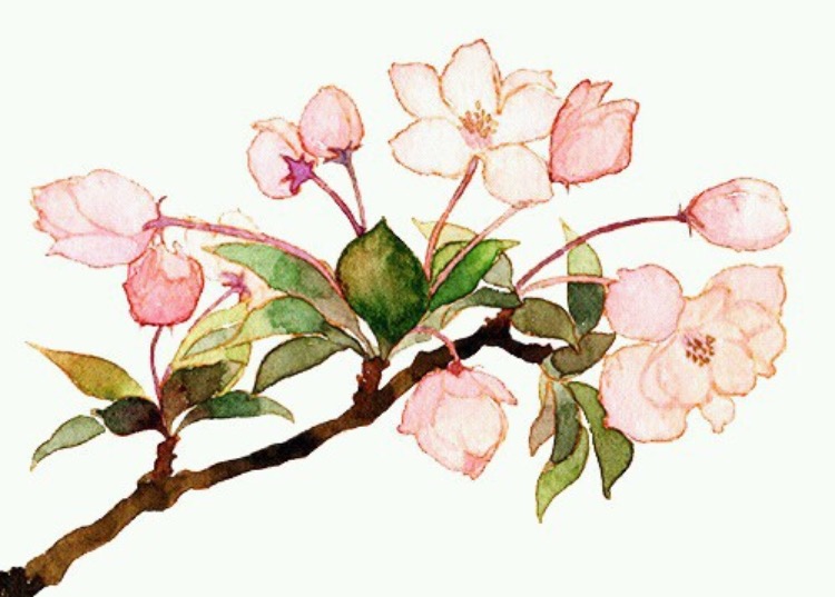 We heart it social media picture