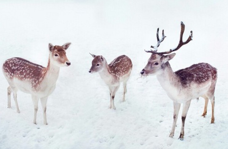 We heart it social media picture