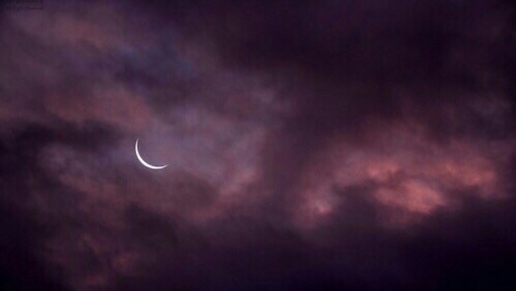 We heart it social media picture