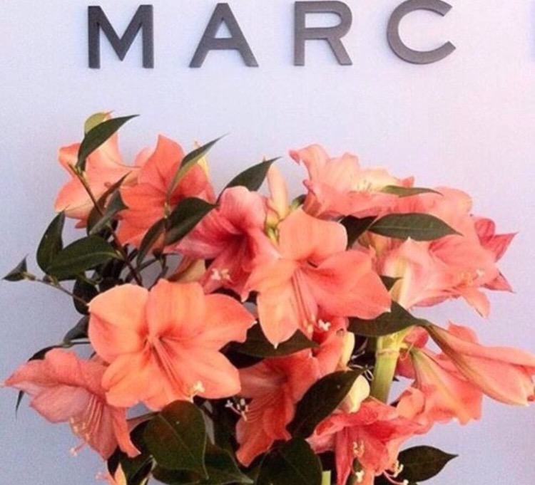 We heart it social media picture