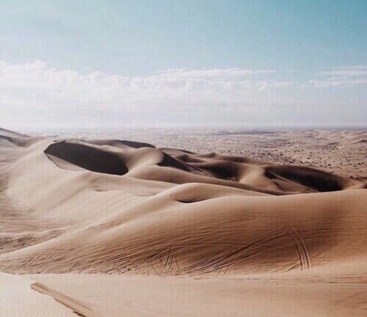 We heart it social media picture