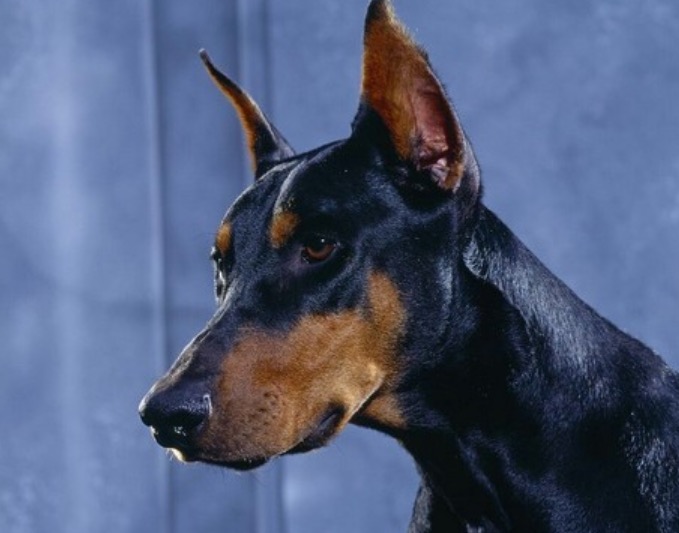 We heart it social media picture