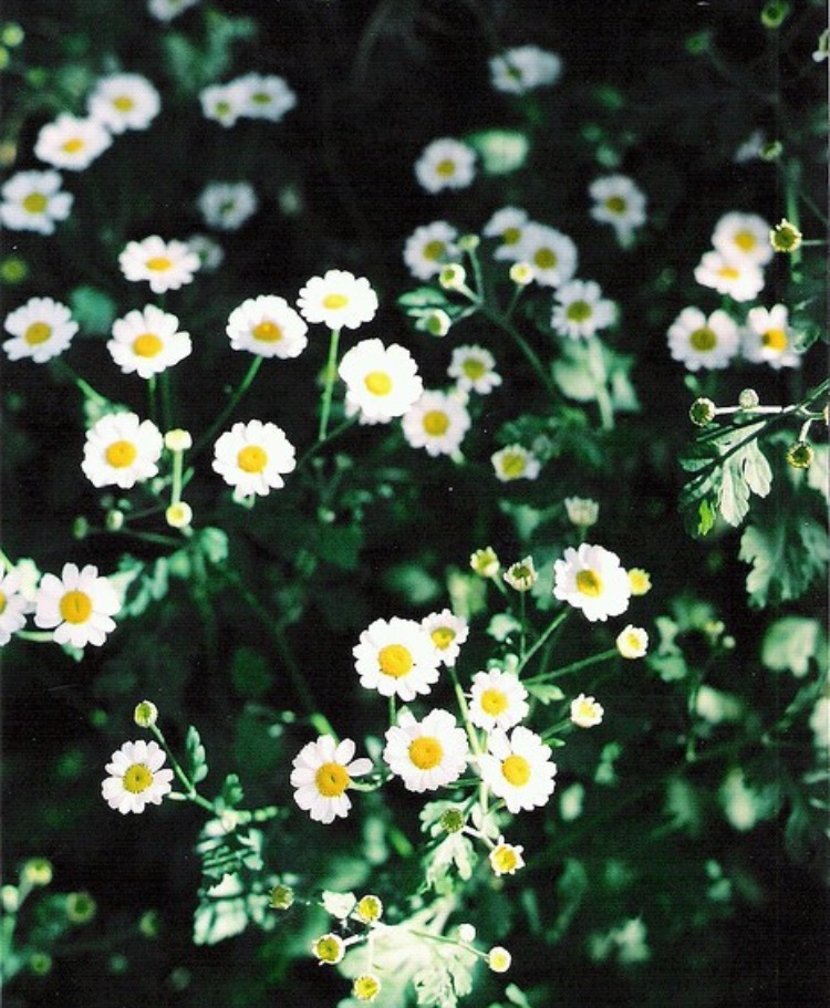 We heart it social media picture