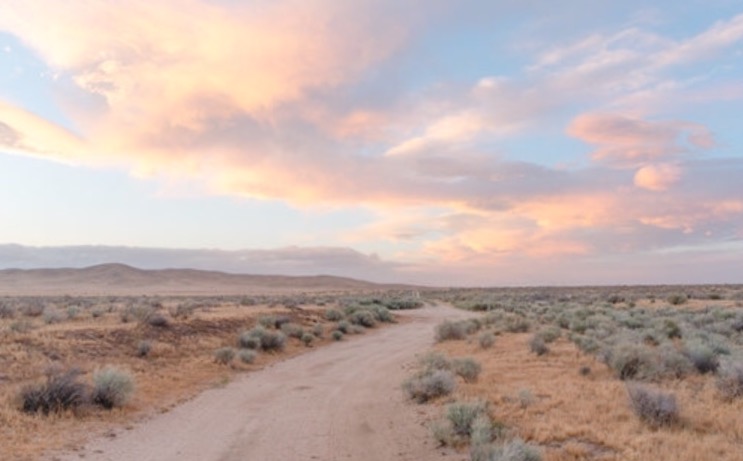 Mojave deserts inspired