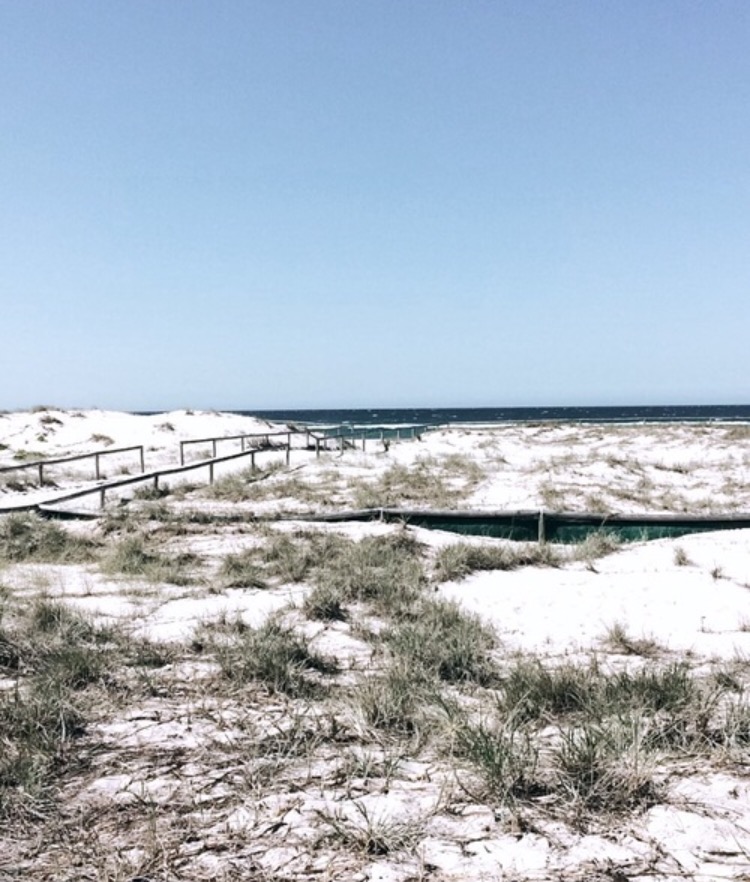 Summer breeze in South&nbsp;Hampton