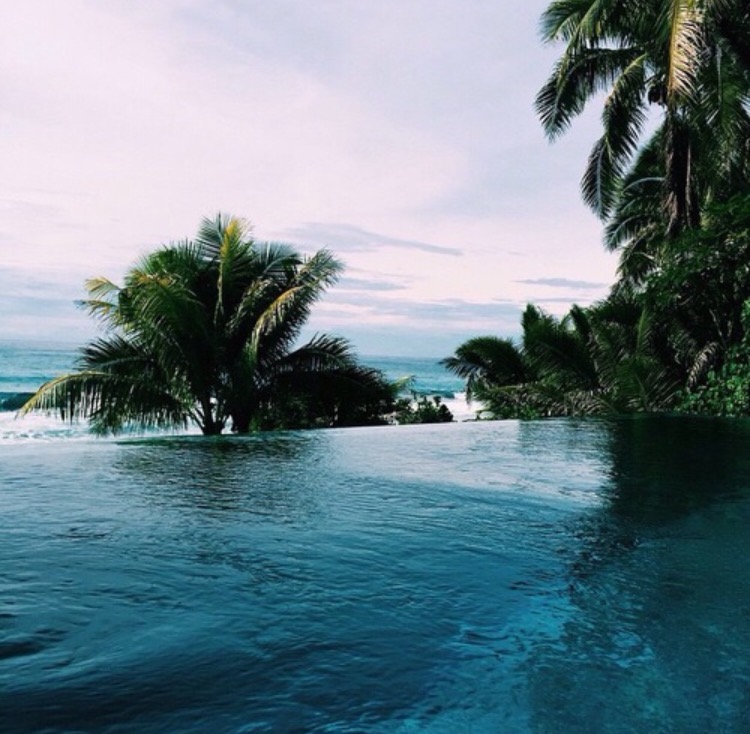 We heart it social media picture