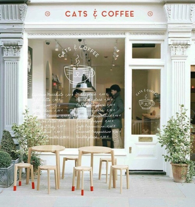 White Chocolate Mocha