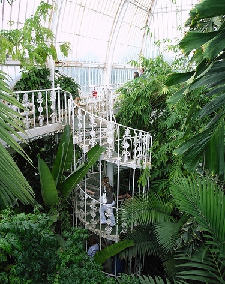 we heart it social media picture