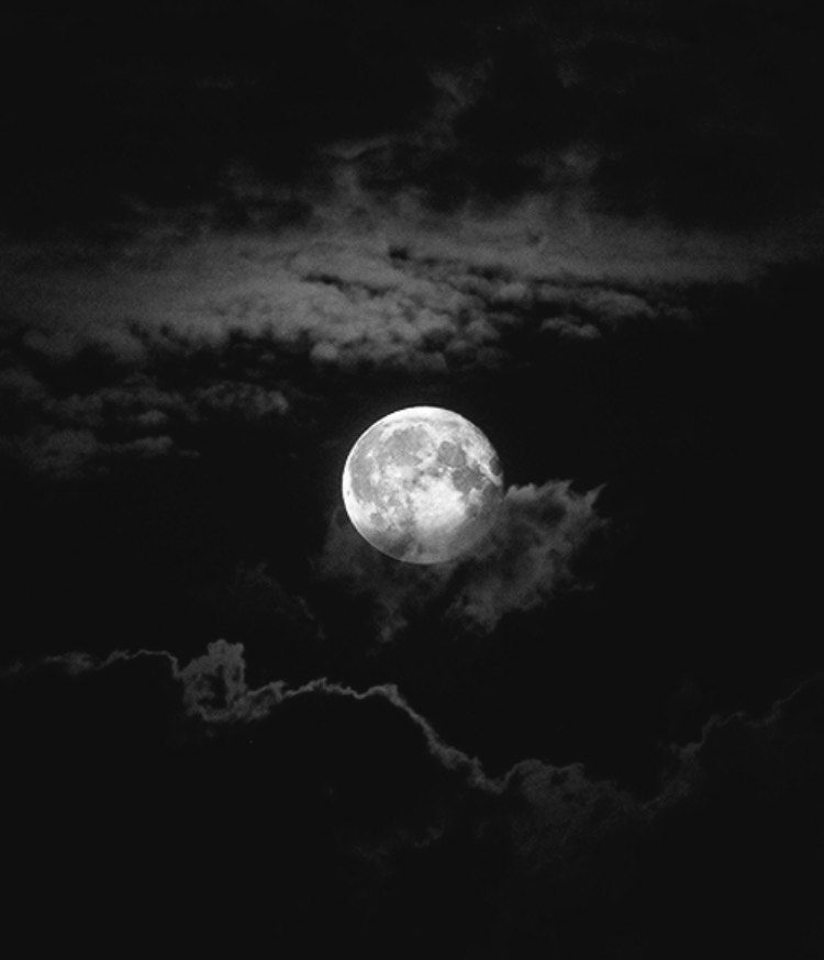 We heart it social media picture