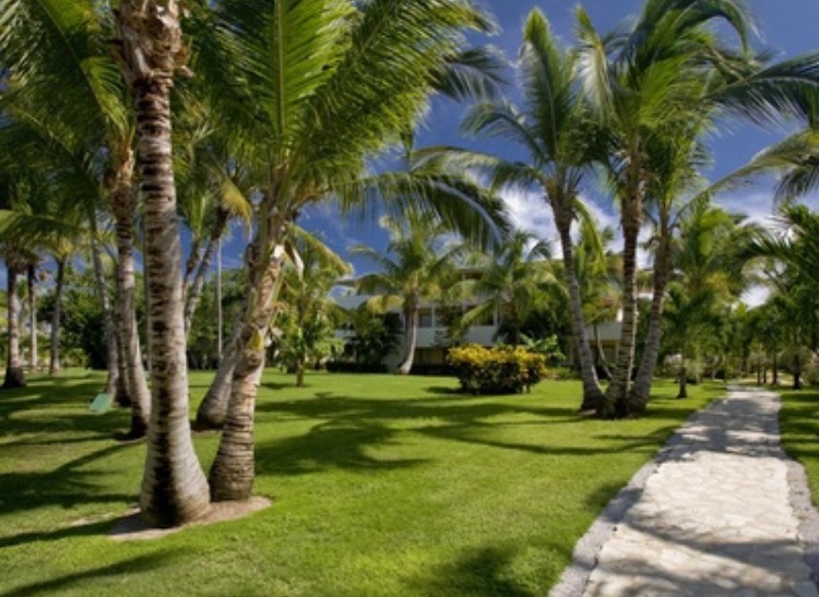 Golfing in Punta&nbsp;Cana