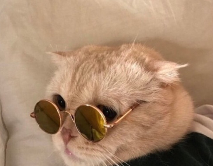 We heart it social media picture