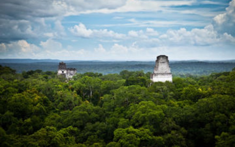 Rainforest in Guatemala