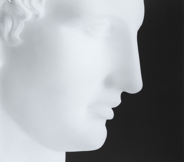 The Art of&nbsp;Mapplethorpe