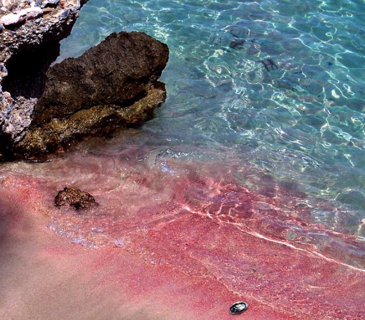 We heart it social media picture