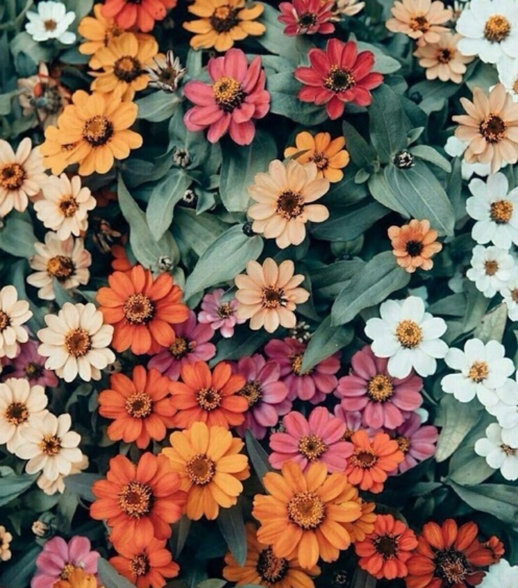 we heart it's Social media picture