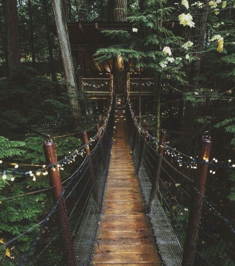 Leaf trail(hues collection fall -winter&nbsp;2017)