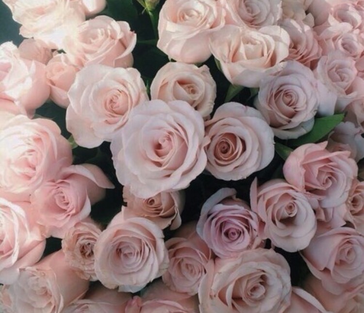 we heart it social media picture