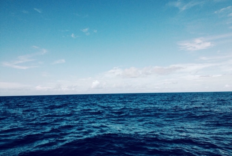 we heart it social media picture