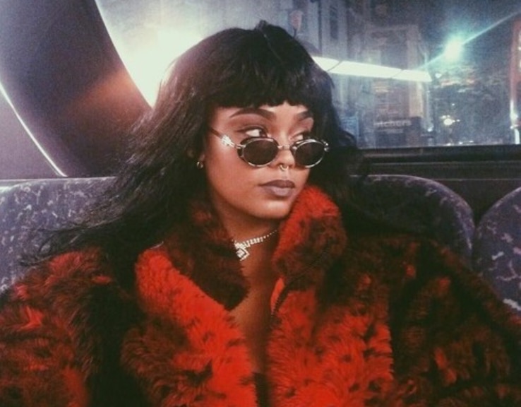 A fox in the&nbsp;dust