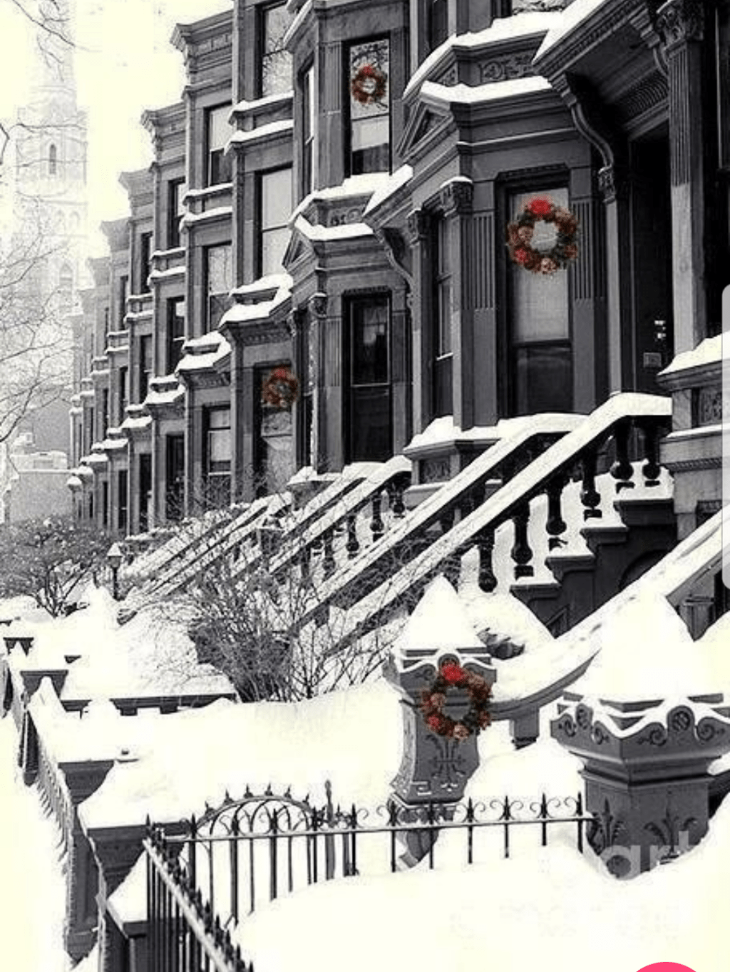 Turtlenecks in wonderland