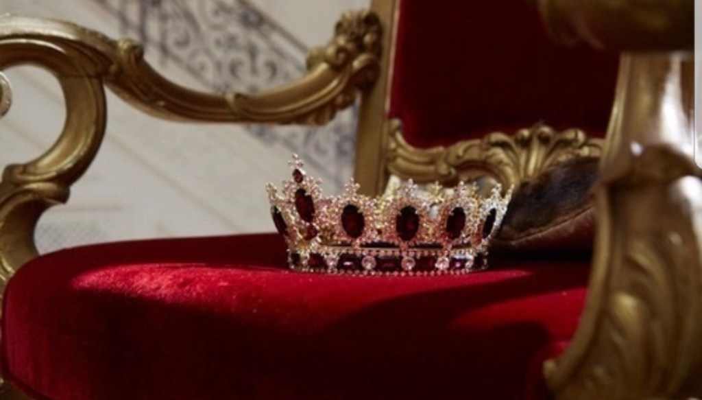 velvet and gold the festive&nbsp;collection