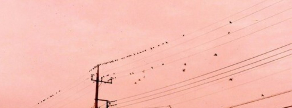 Awake the orange&nbsp;sun