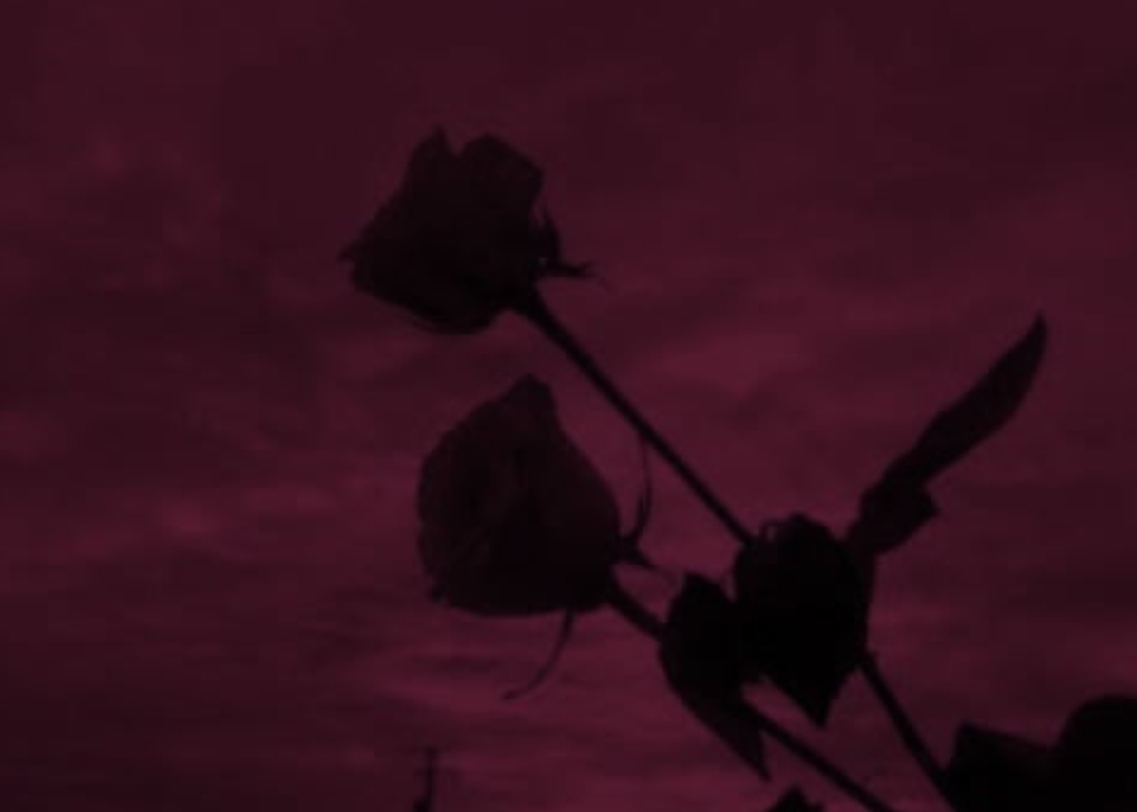 We heart it social media picture