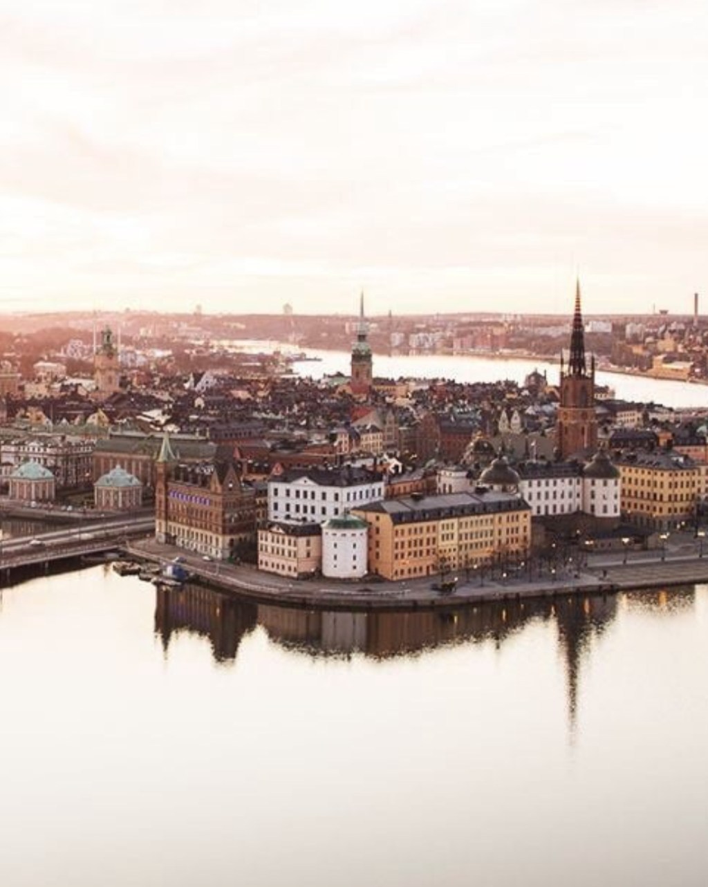 Olive green in Stockholm | No Locals the global connection&nbsp;18′