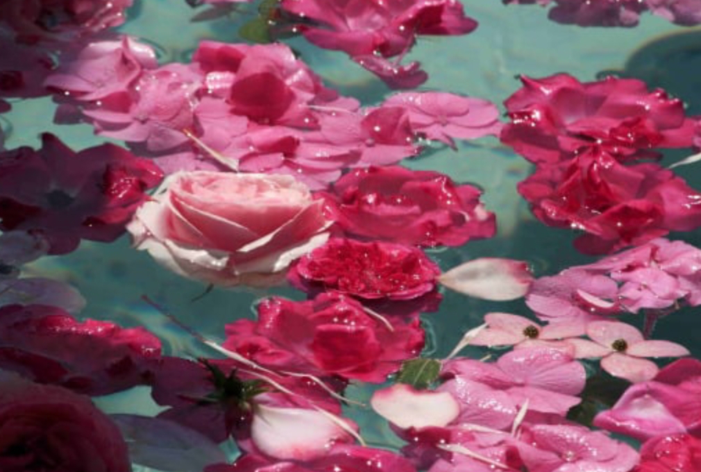 We heart it social media picture