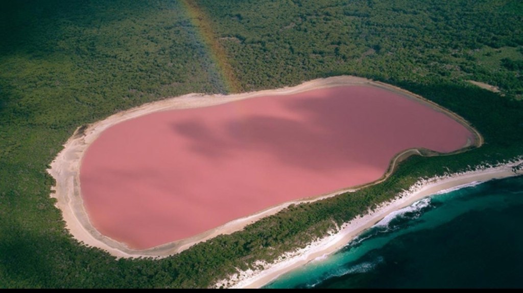 We heart it social media picture