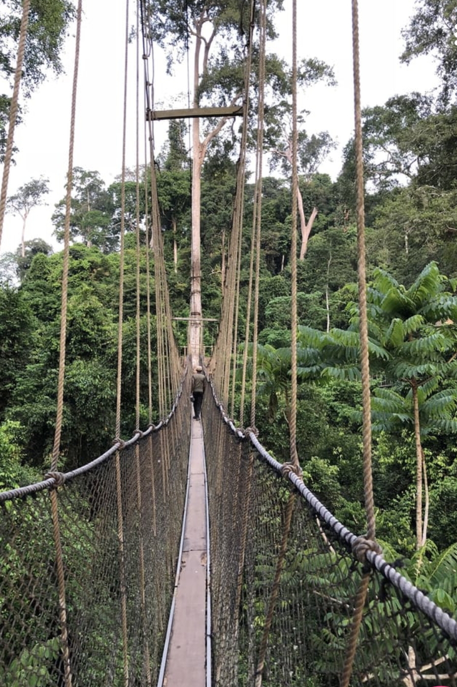 We heart it social media picture