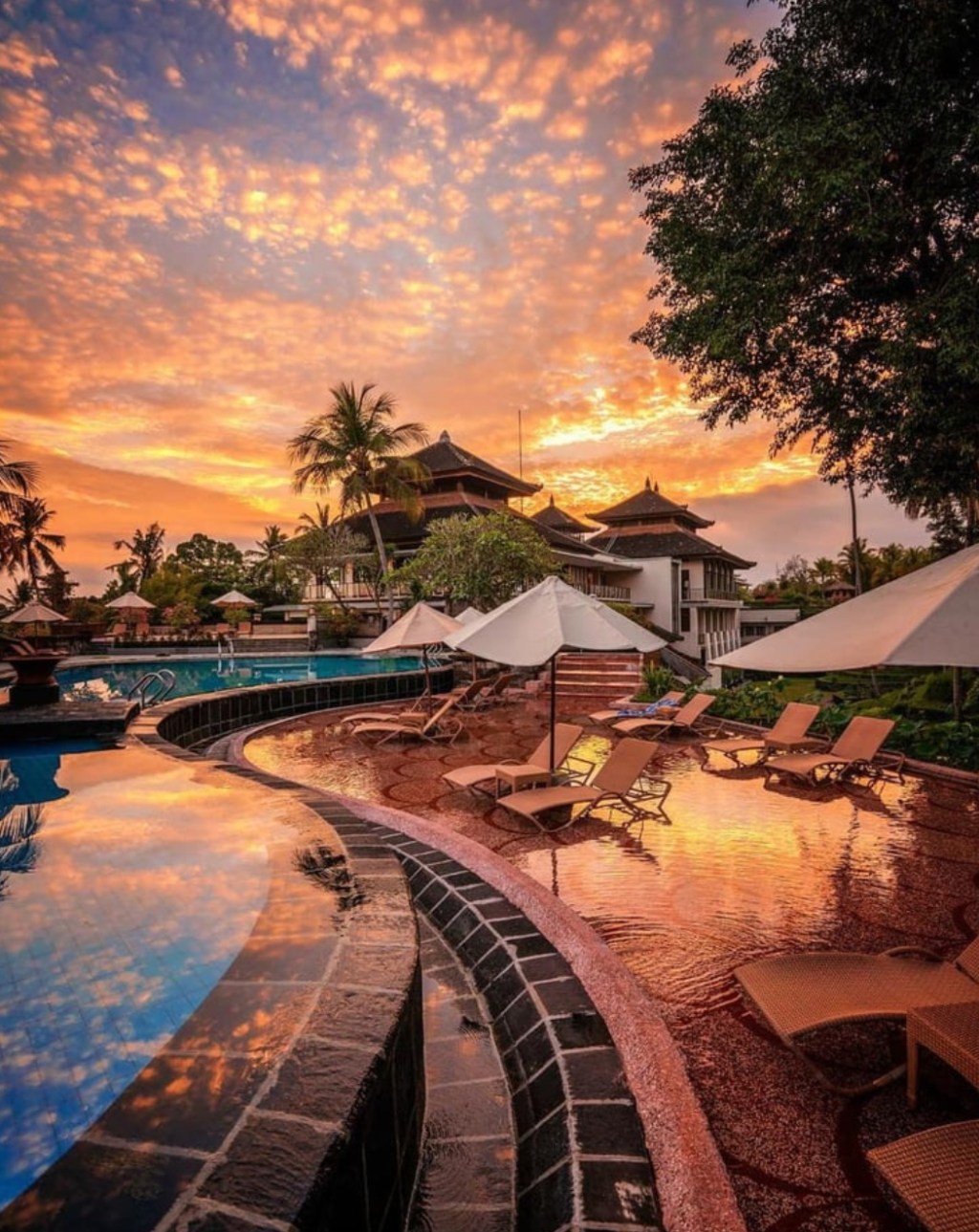 Neon in Bali | No Locals the Global Collection&nbsp;18′