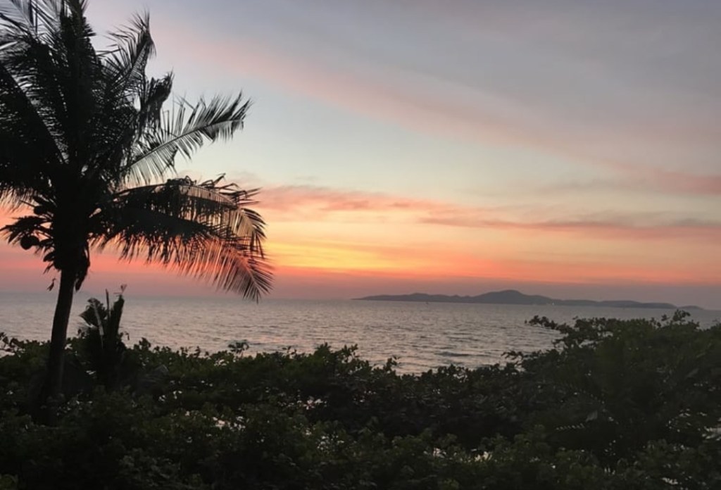 Thaliand Sunset butterfly’s