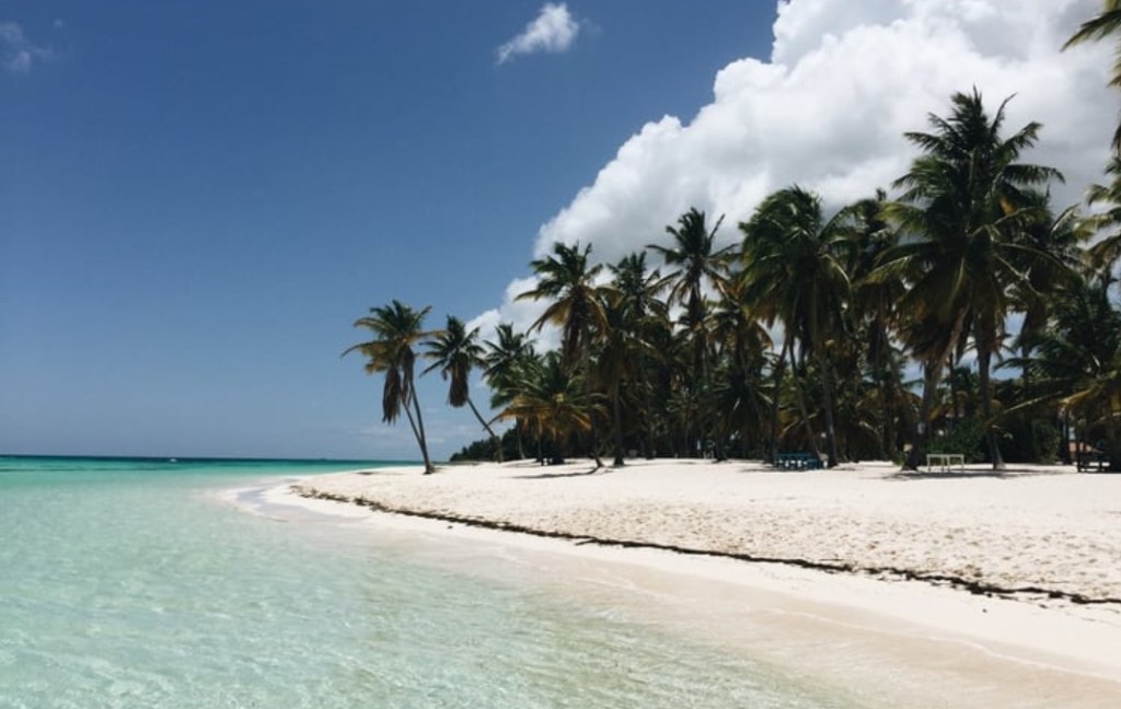 Power to Jane | No Local the Global Collection&nbsp;18′