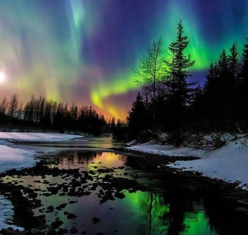 Thick layers & snowy weather | No Locals the Global Collection&nbsp;18′