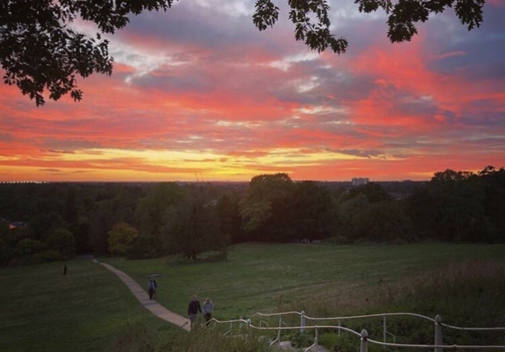 Roses in Richmond Park | No Locals the Global Collection&nbsp;18′