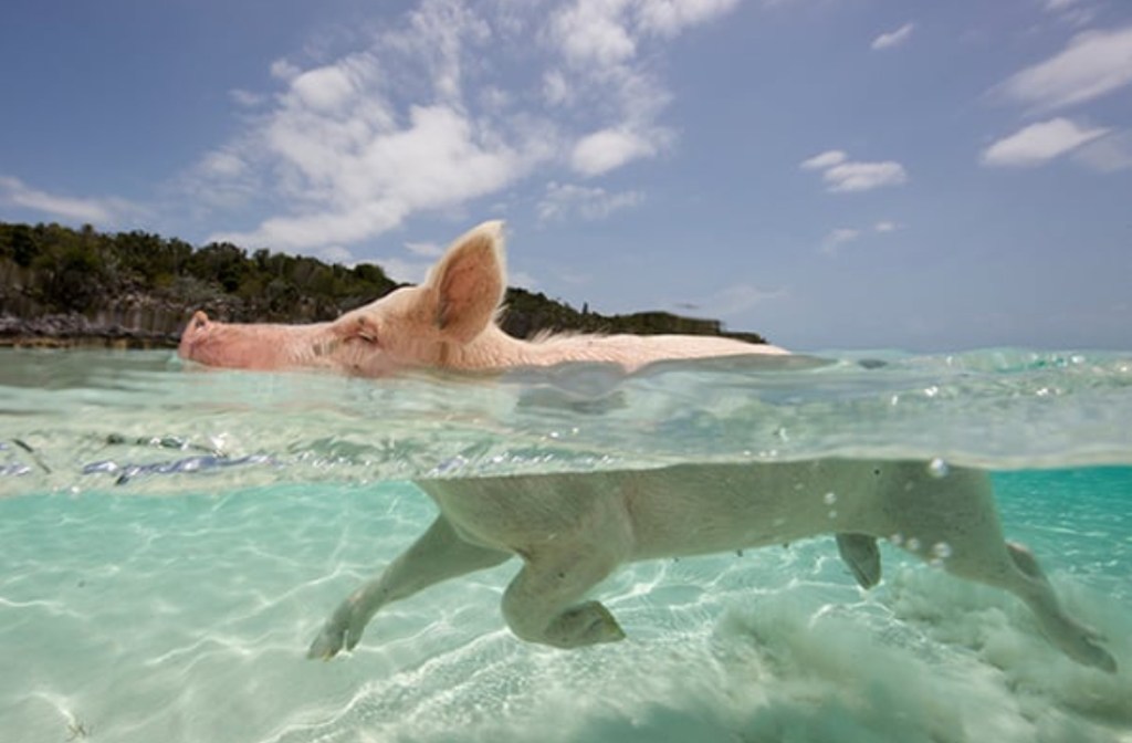 We heart it social media picture