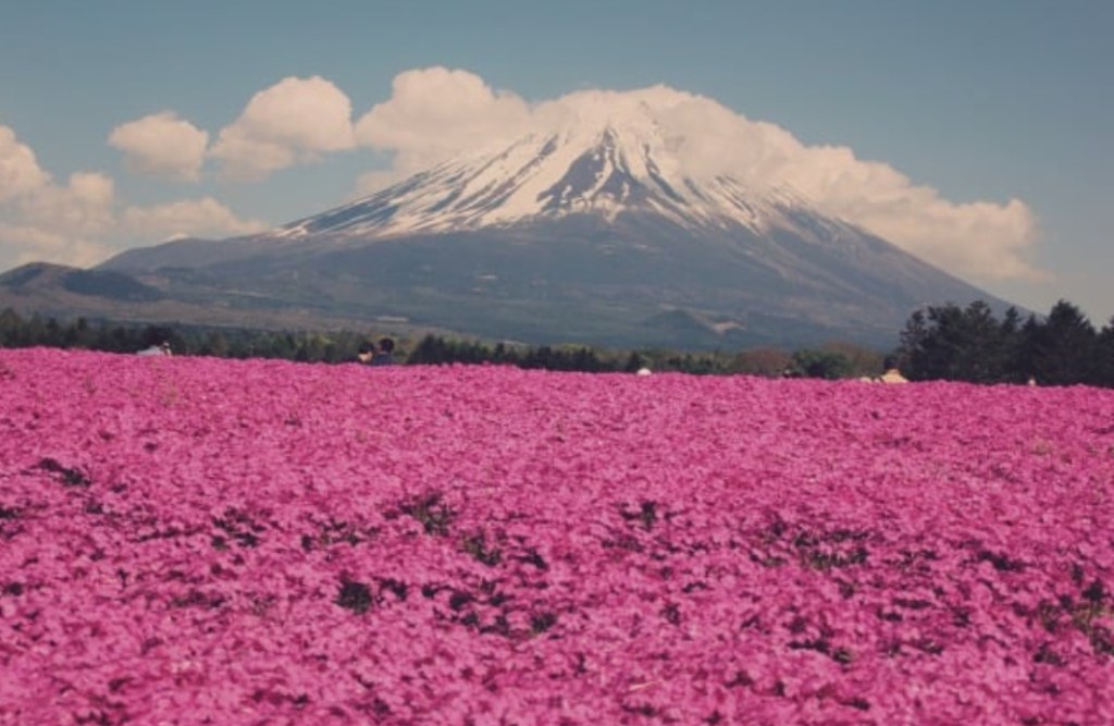 We heart it social media picture