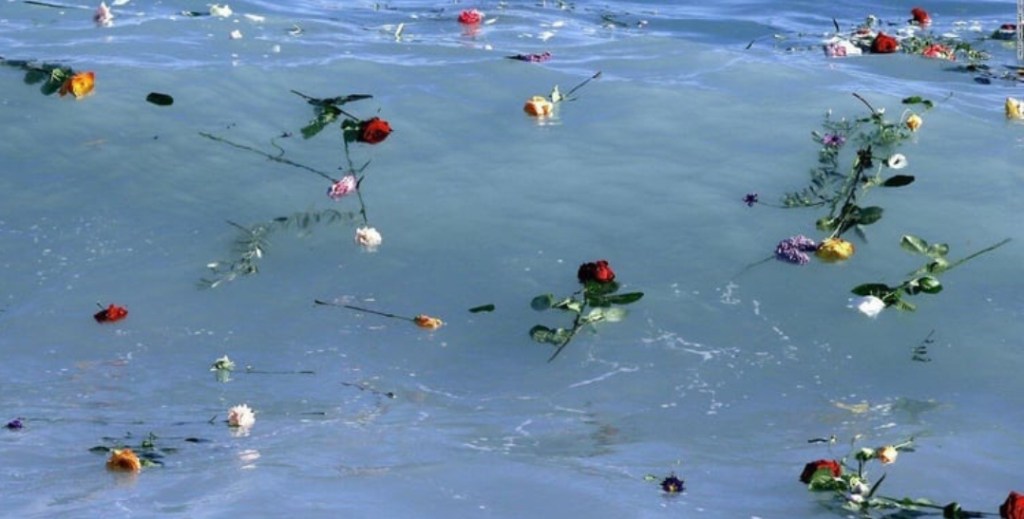 We heart it social media picture