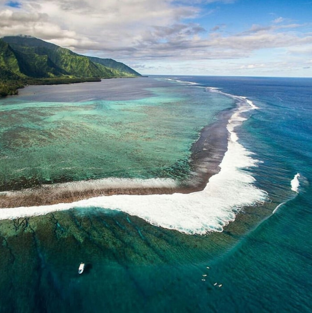 We heart it social media picture