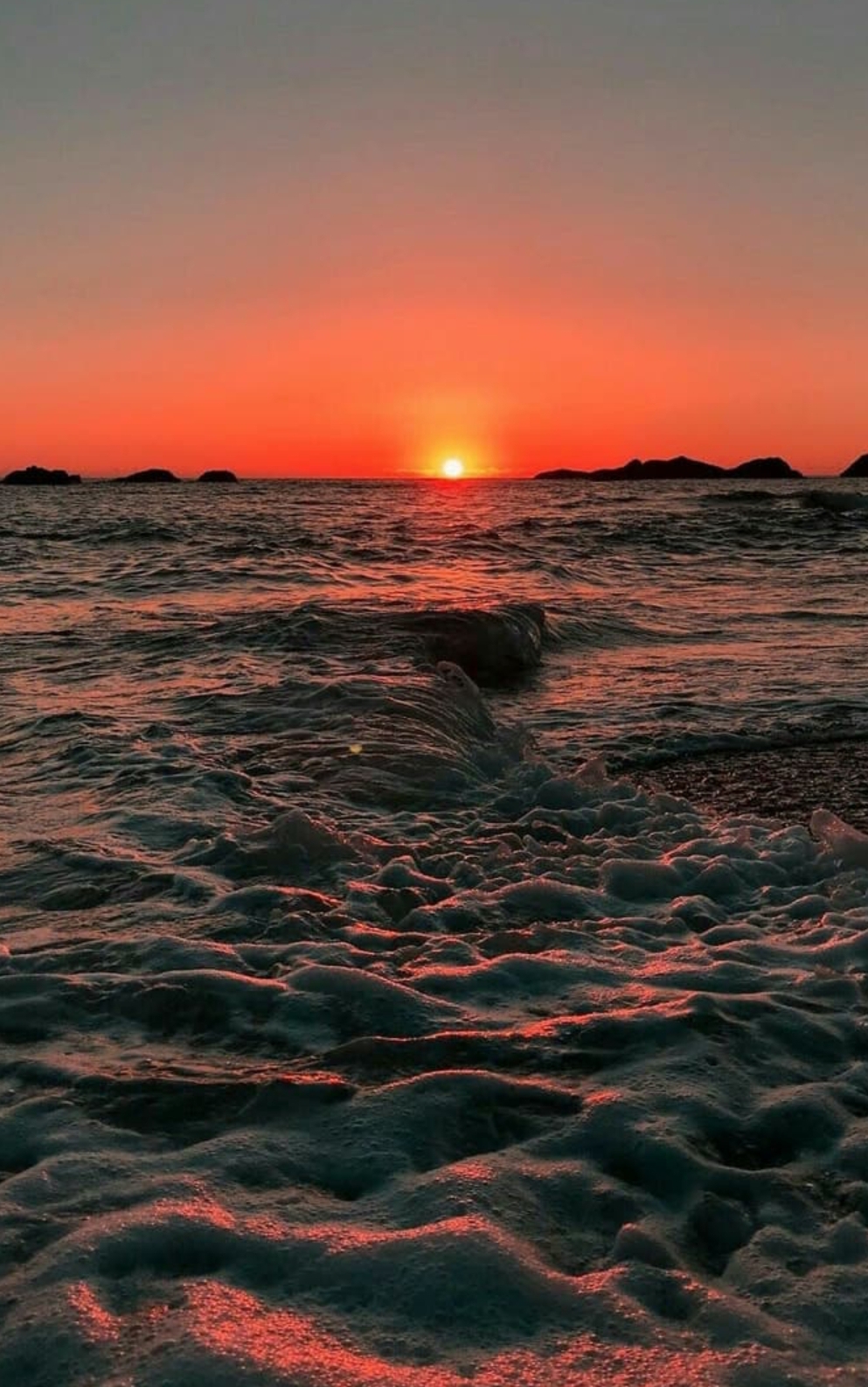 Tropical travels in&nbsp;fuchsia