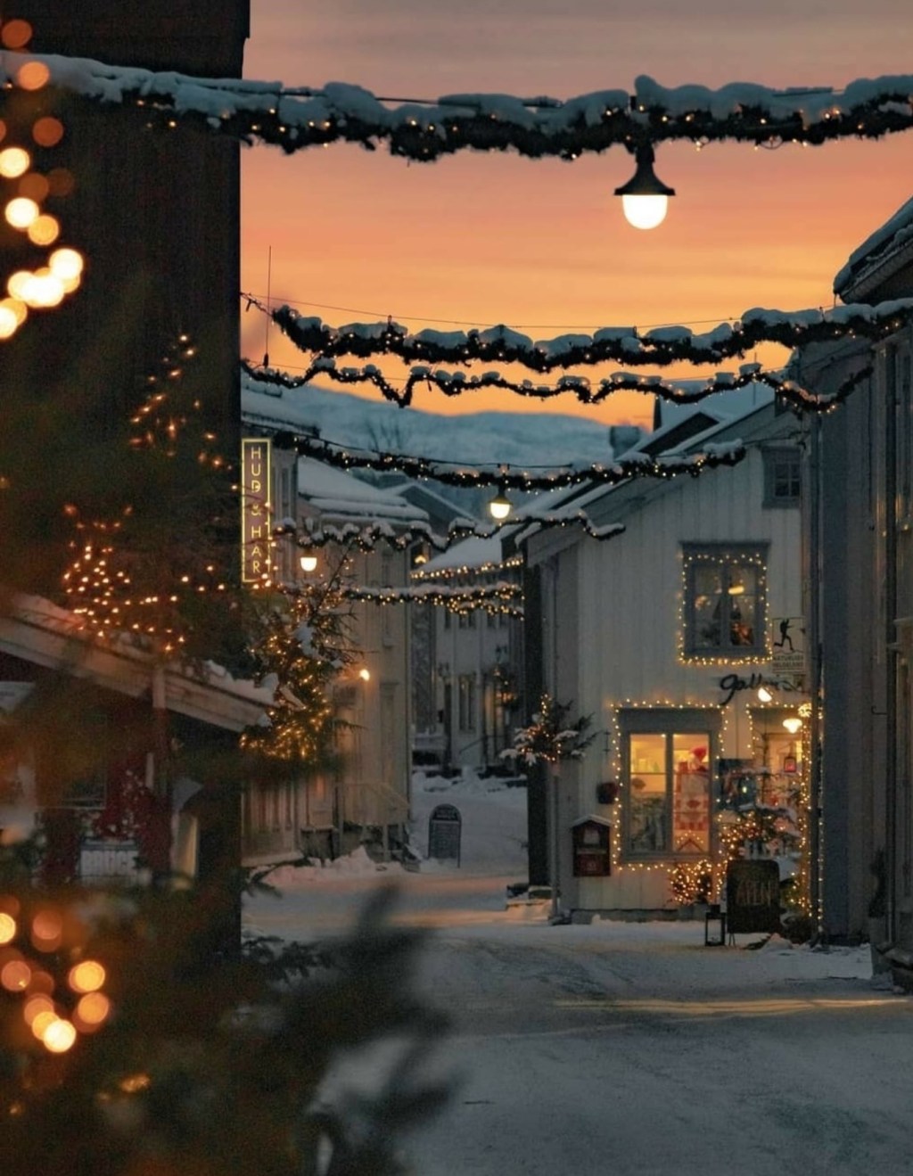 Add a little greenary “The High Note collection 2019-2020”