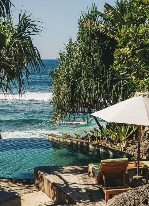 Mixed Jewels in the&nbsp;Tropics