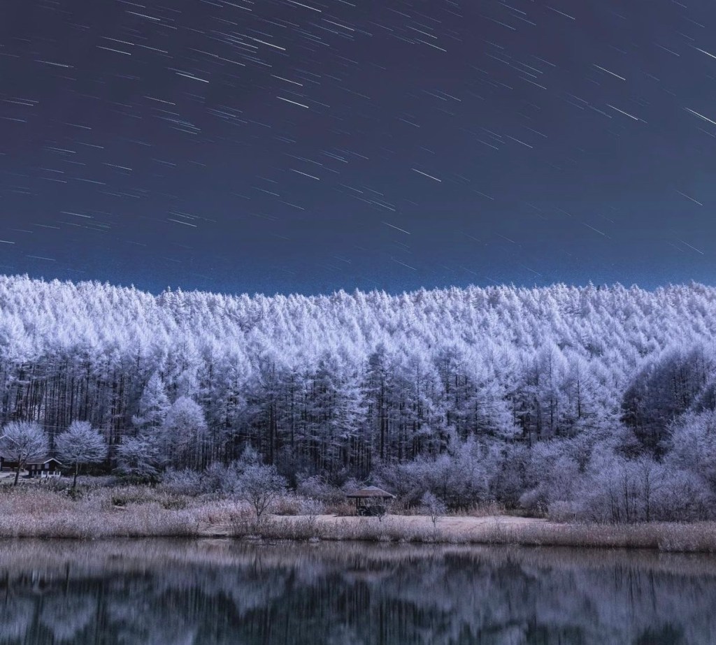 Snow Days in Japan ( The Low Dunk&nbsp;Collection)