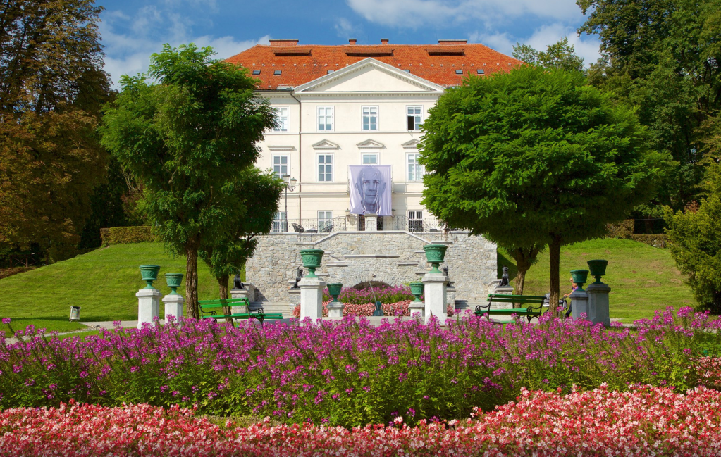 Tangerine Picnic at Tivoli Park (Low Dunk&nbsp;Collection)