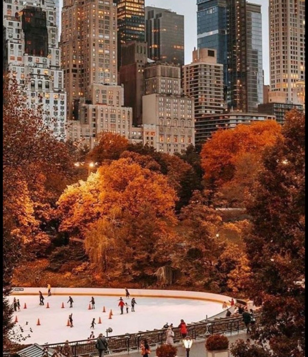 Quintessential Transparency ￼