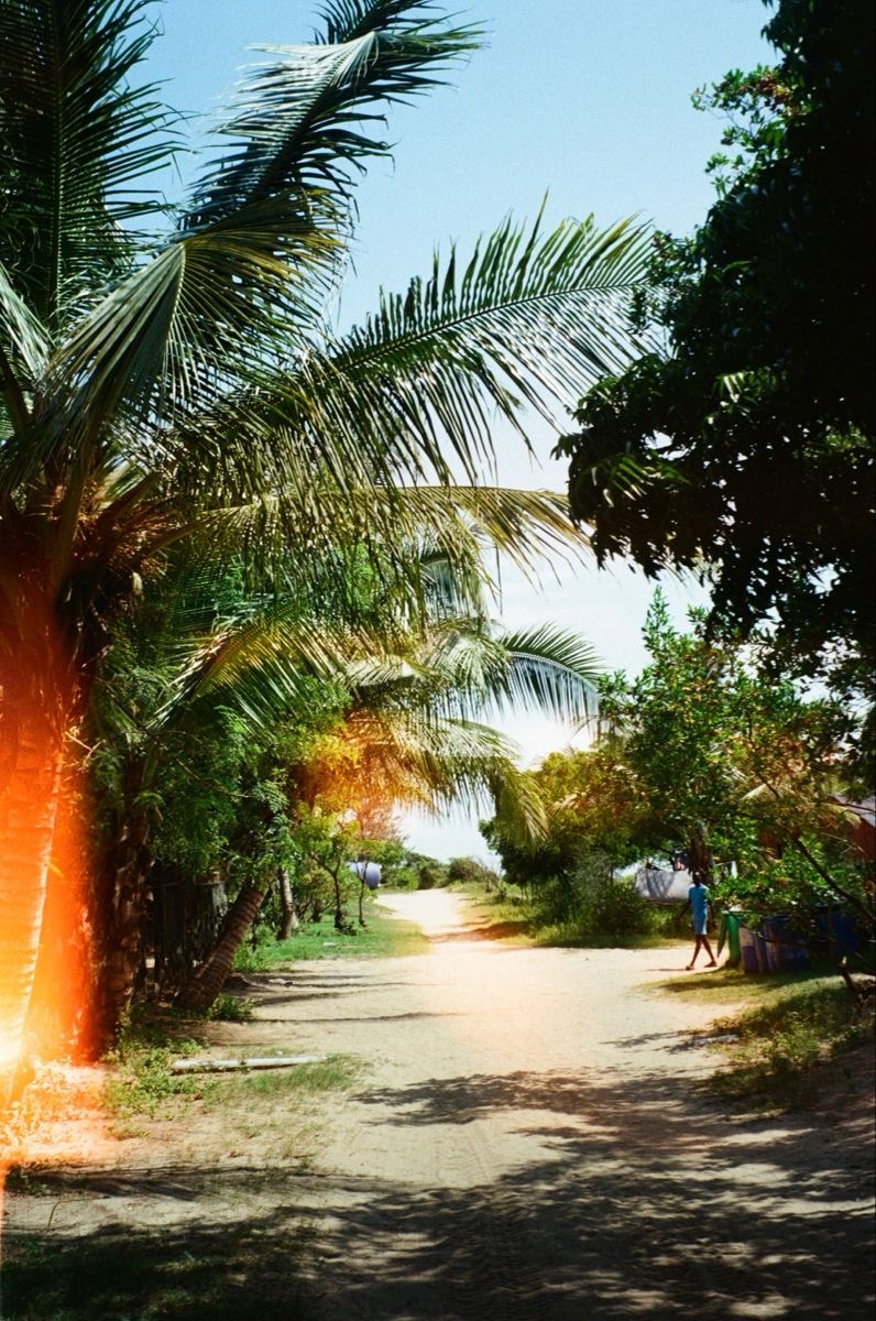 Lagos Homecoming 2/3 visual&nbsp;fits